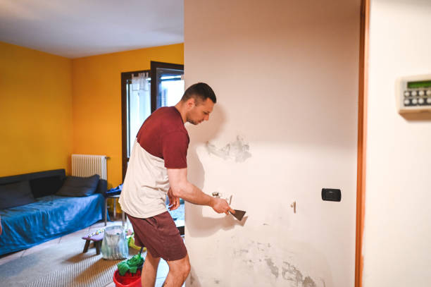 Best Best Mold Removal Companies  in Mcleansville, NC